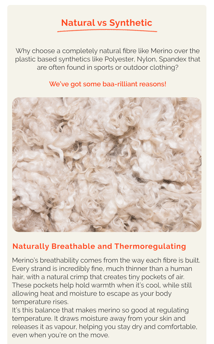 Article section comparing natural merino to synthetic fibres, featuring a close-up of raw merino wool fleece.